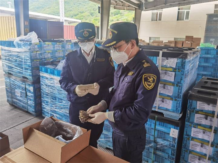 ஸ்திரத்தன்மையை உறுதிப்படுத்தவும், தரத்தை மேம்படுத்தவும் வெளிநாட்டு வர்த்தகத்தை மேம்படுத்தவும் Ningbo சுங்கம் 20 